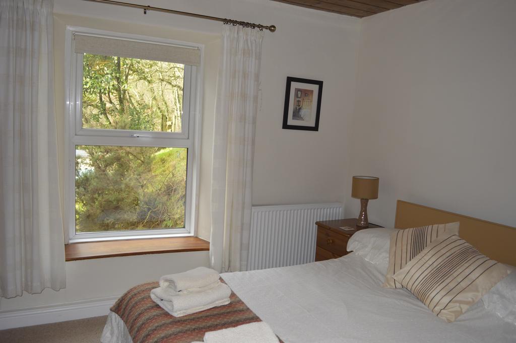Troedyrhiw Bed & Breakfast Кардиган Номер фото